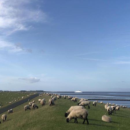 Wind Und Meer - Traumhaft An Der Nordsee นอร์ดไดค์ ภายนอก รูปภาพ